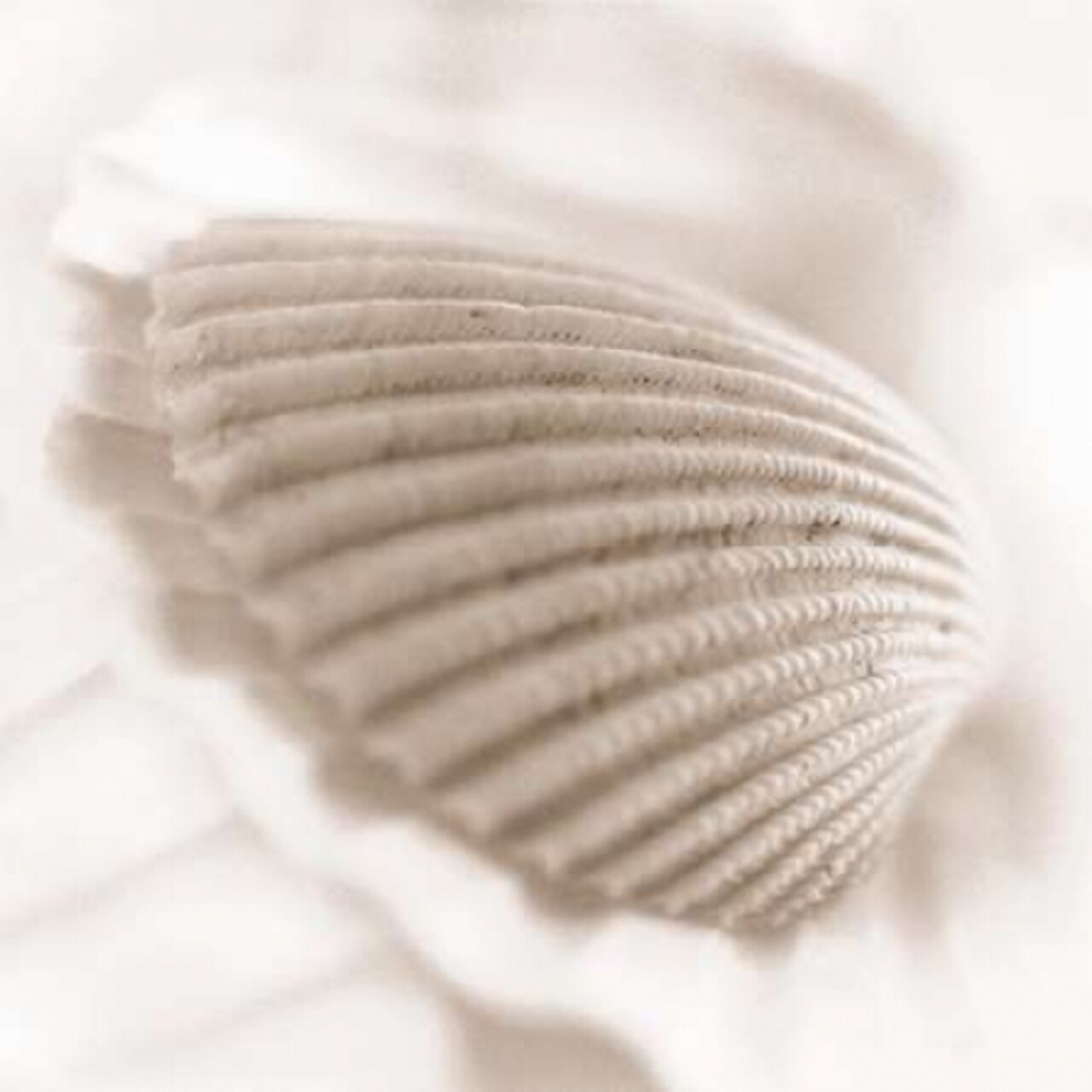 Atlantis 3 Poster Print by Alan Blaustein - Item # VARPDXB1168D